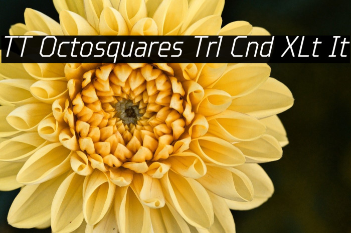 TT Octosquares Trl Cnd XLt It Example 2