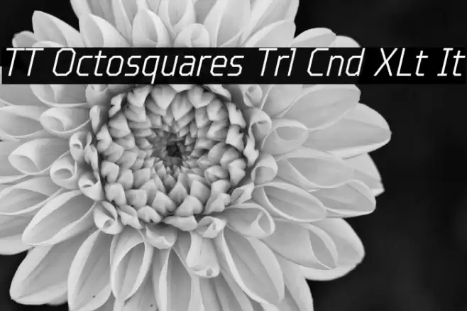TT Octosquares Trl Cnd XLt It Fuentes examples