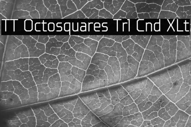 TT Octosquares Trl Cnd XLt خط examples
