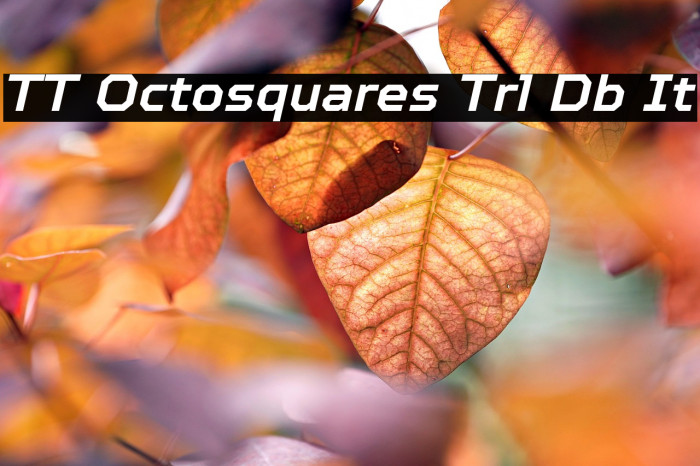 TT Octosquares Trl Db It Example 2