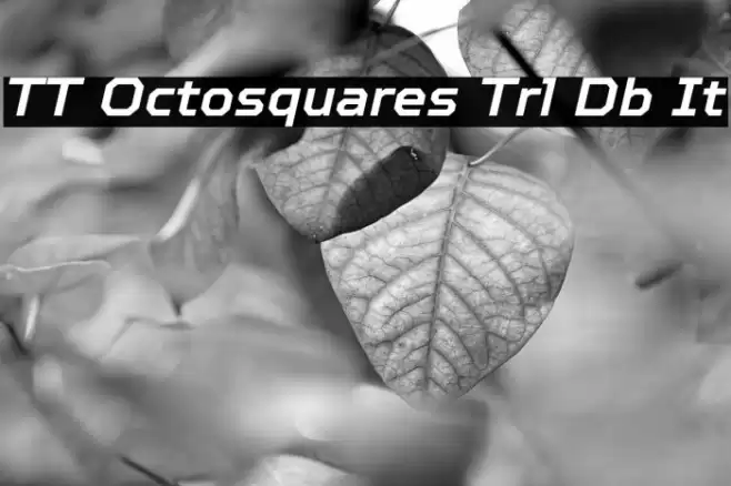 TT Octosquares Trl Db It Polices examples
