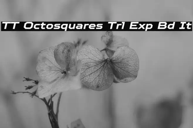 TT Octosquares Trl Exp Bd It Schriftart examples