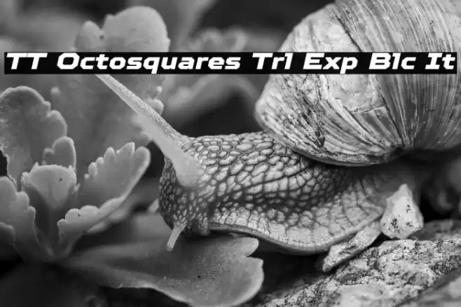 TT Octosquares Trl Exp Blc It Caratteri examples