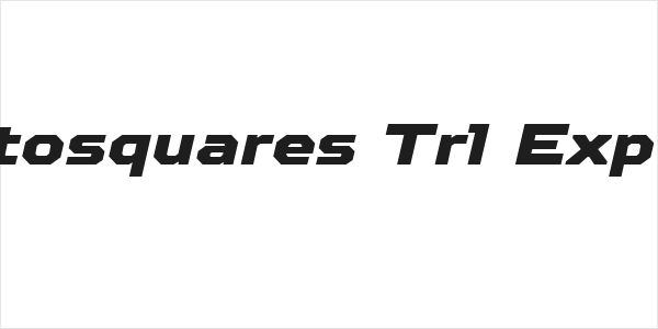 TT Octosquares Trl Exp Blc It Logo