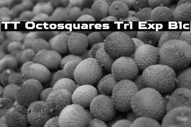 TT Octosquares Trl Exp Blc Schriftart examples