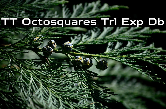 TT Octosquares Trl Exp Db Example 2