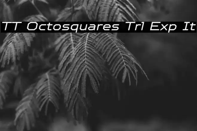 TT Octosquares Trl Exp It خط examples