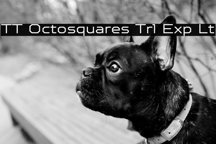 TT Octosquares Trl Exp Lt Example 1