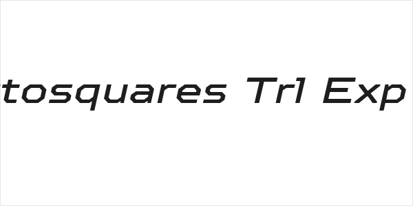 TT Octosquares Trl Exp Md It Logo