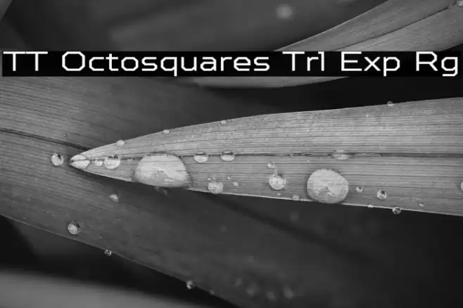 TT Octosquares Trl Exp Rg Font examples
