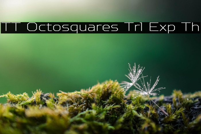 TT Octosquares Trl Exp Th Example 1