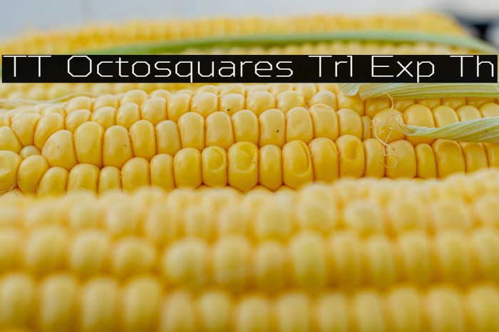 TT Octosquares Trl Exp Th Example 2