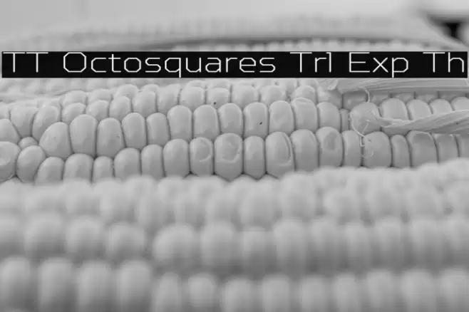 TT Octosquares Trl Exp Th フォント examples