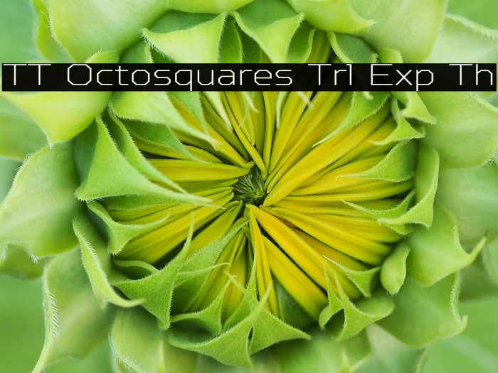 TT Octosquares Trl Exp Th Example 3