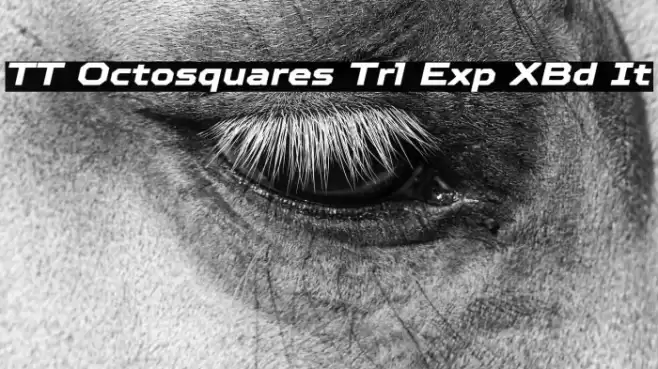 TT Octosquares Trl Exp XBd It Caratteri examples