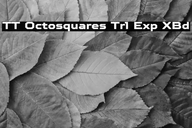 TT Octosquares Trl Exp XBd Fuentes examples