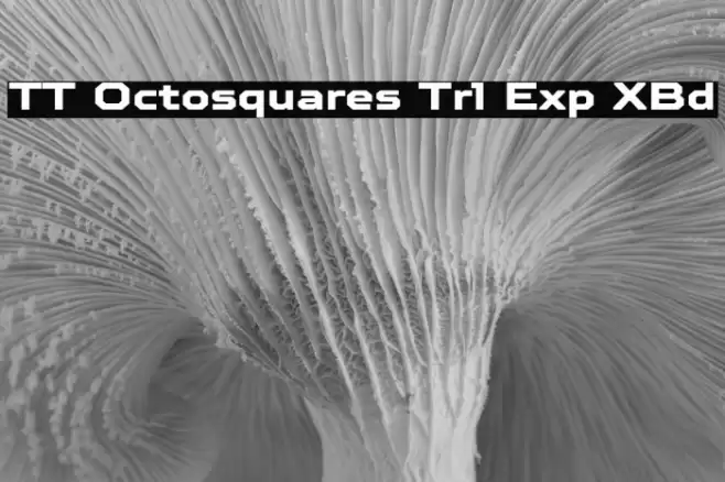 TT Octosquares Trl Exp XBd Fuentes examples