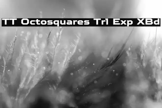 TT Octosquares Trl Exp XBd Fuentes examples