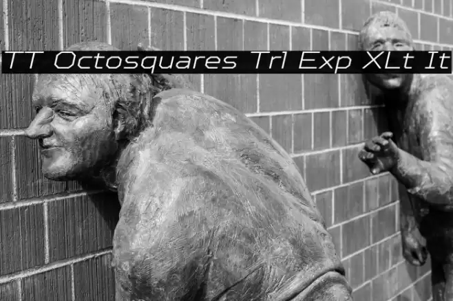 TT Octosquares Trl Exp XLt It خط examples