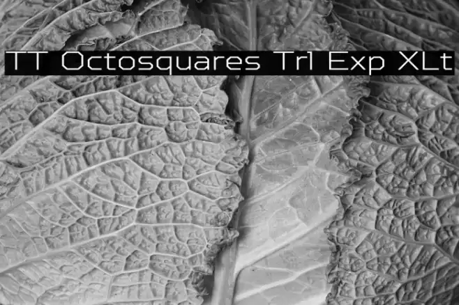 TT Octosquares Trl Exp XLt Шрифта examples
