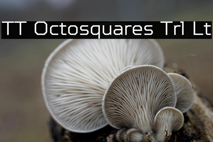 TT Octosquares Trl Lt Example 2