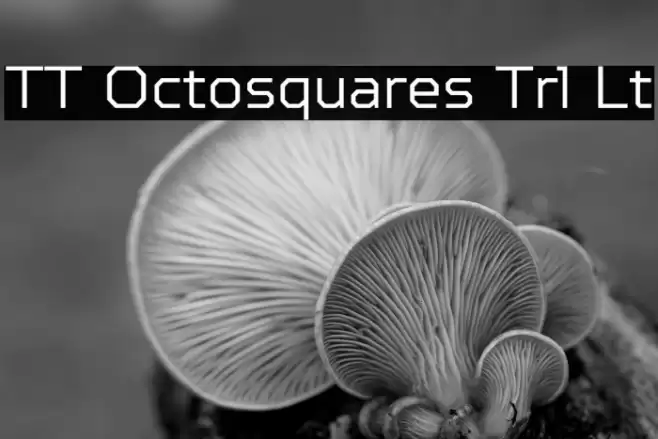 TT Octosquares Trl Lt Font examples