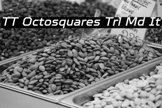TT Octosquares Trl Md It 字体 examples