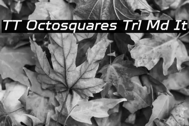 TT Octosquares Trl Md It 字体 examples