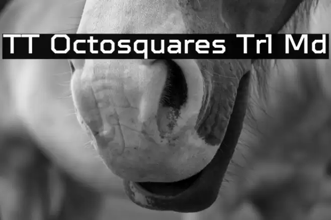 TT Octosquares Trl Md Шрифта examples