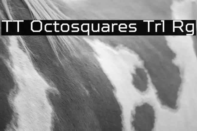 TT Octosquares Trl Rg 字体 examples