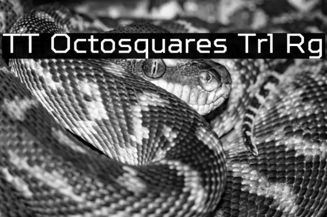 TT Octosquares Trl Rg 字体 examples