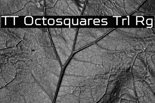 TT Octosquares Trl Rg 字体 examples