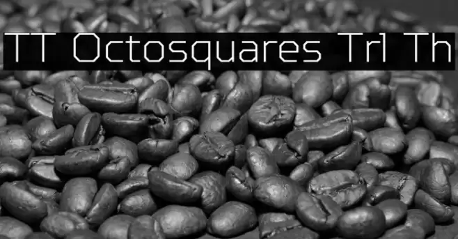TT Octosquares Trl Th Font examples