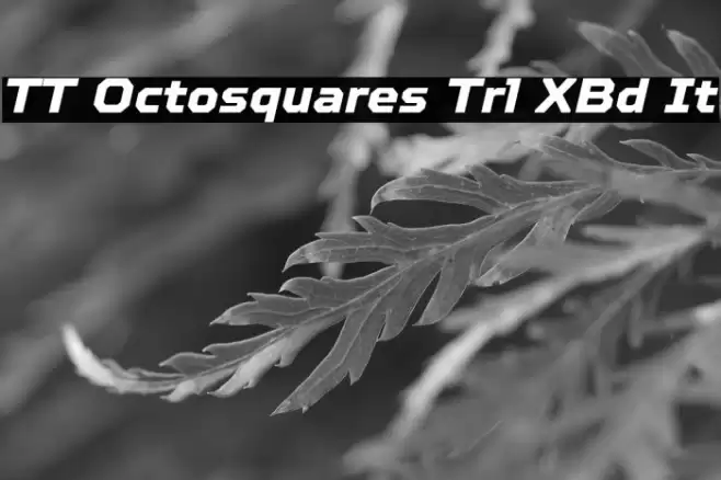 TT Octosquares Trl XBd It フォント examples