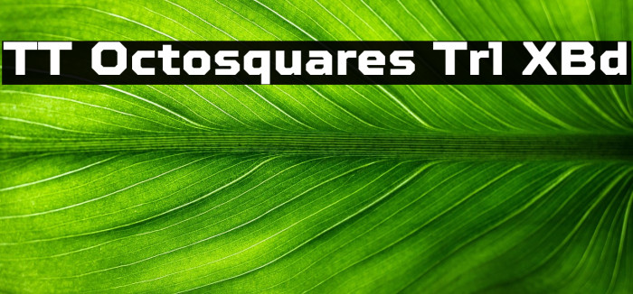 TT Octosquares Trl XBd Example 1