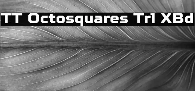 TT Octosquares Trl XBd フォント examples