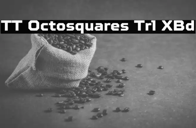 TT Octosquares Trl XBd フォント examples