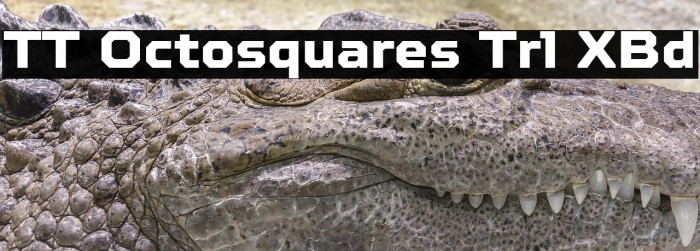 TT Octosquares Trl XBd Example 3