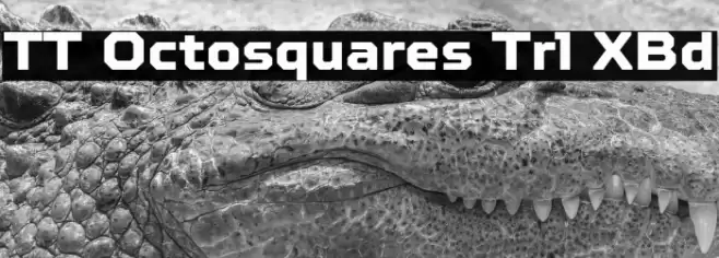 TT Octosquares Trl XBd フォント examples