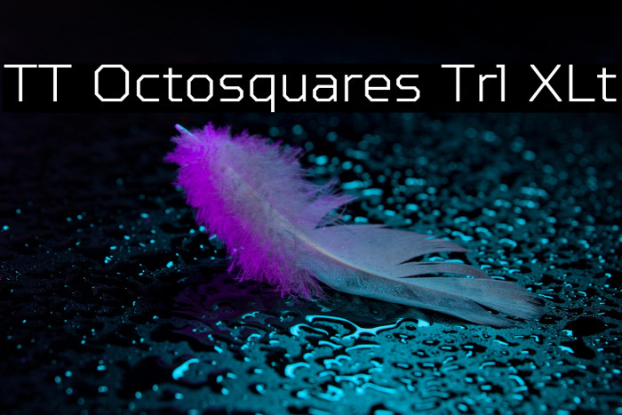 TT Octosquares Trl XLt Example 2