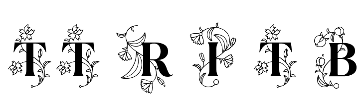 TT Ramillas Initials Trl Bd Font
