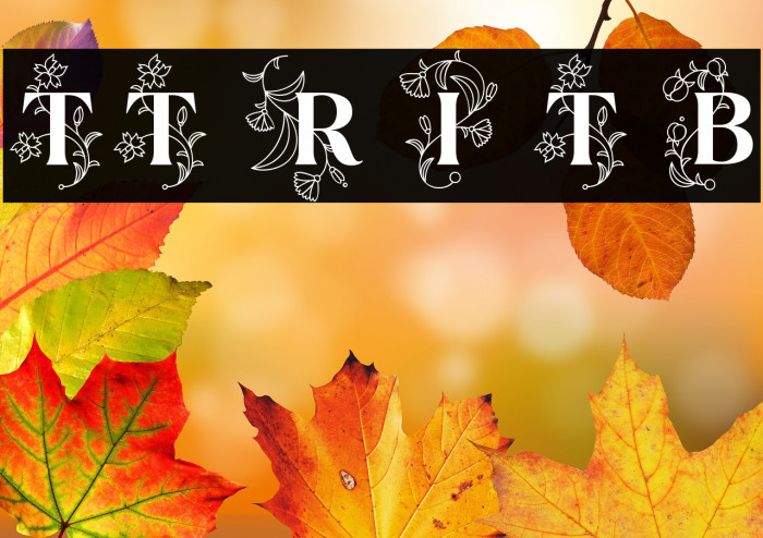 TT Ramillas Initials Trl Bd Example 1