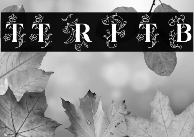 TT Ramillas Initials Trl Bd Font examples