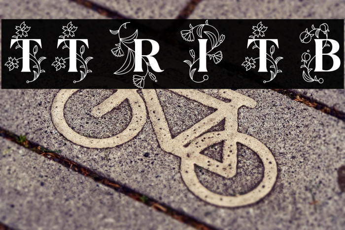 TT Ramillas Initials Trl Bd Example 2