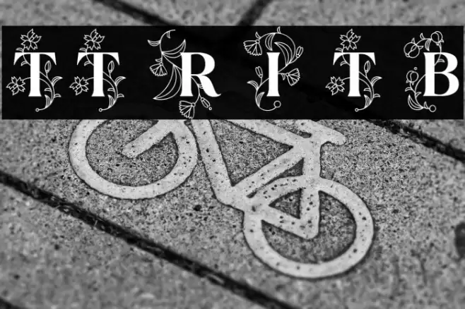 TT Ramillas Initials Trl Bd Font examples