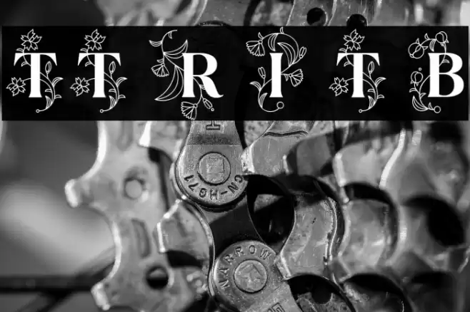 TT Ramillas Initials Trl Bd Font examples