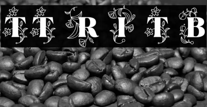 TT Ramillas Initials Trl Blc Шрифта examples