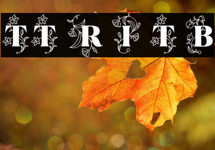 TT Ramillas Initials Trl Blc Example 2