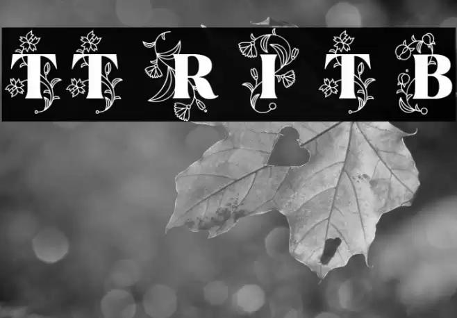 TT Ramillas Initials Trl Blc Шрифта examples