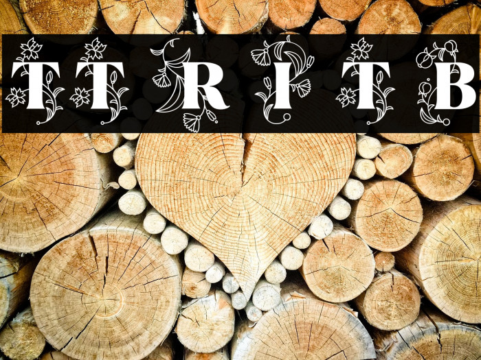 TT Ramillas Initials Trl Blc Example 3